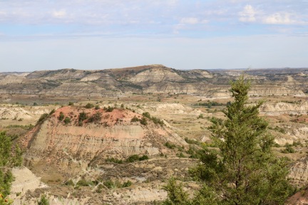 The red colour of the rock comes from oxidation of iron, which is released from coal beds that is burned from lightning strikes or prairie fires.