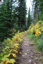 Beautiful scenery on the Lower & Upper Rowe Lake trail in Waterton Lakes National Park.
