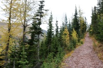 Beautiful scenery on the Upper Rowe Lake trail in Waterton Lakes National Park.