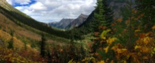 Beautiful scenery on the Lower & Upper Rowe Lake trail in Waterton LakesNational Park.