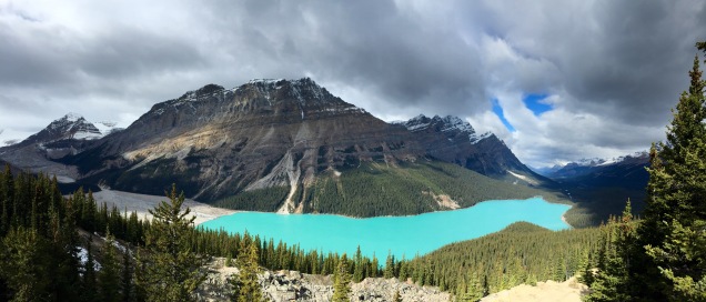 Peyto Lake along the Icefields Parkway.