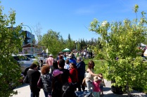 The line up through Somba Ke Plaza for the free Aboriginal Day fish fry.